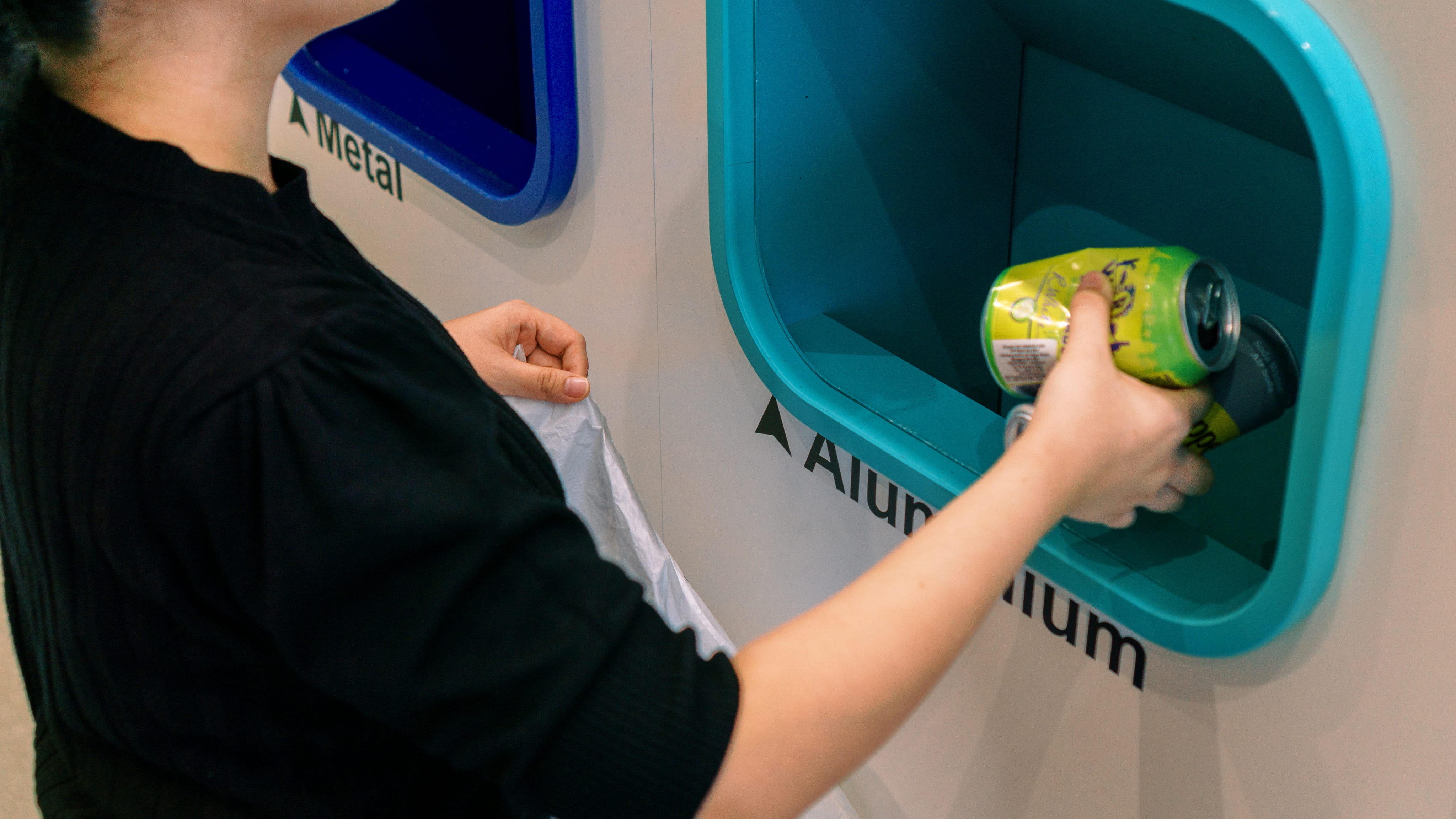 Sustainability:The Lagom Way